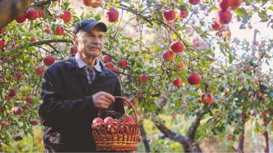 10 fall activities to get you out of the house 5.png