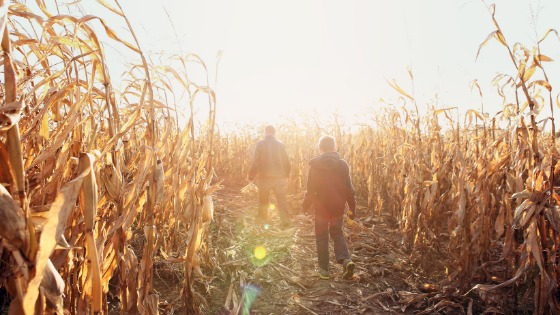 10 fall activities to get you out of the house 9.png