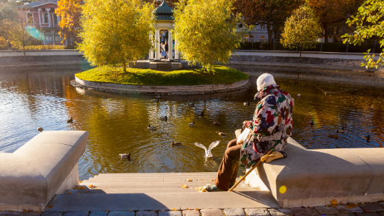 10 fall activities to get you out of the house 8.png