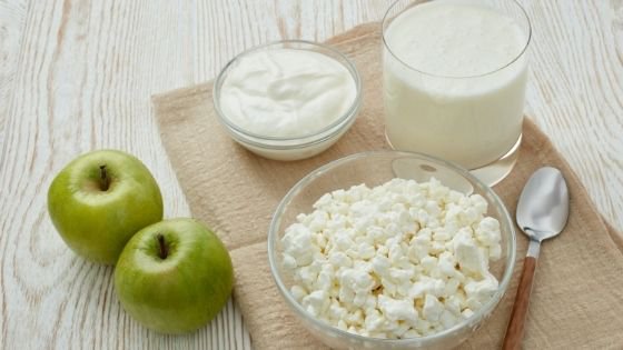 Bowls of low fat cottage cheese, yogurt and milk-4.jpeg