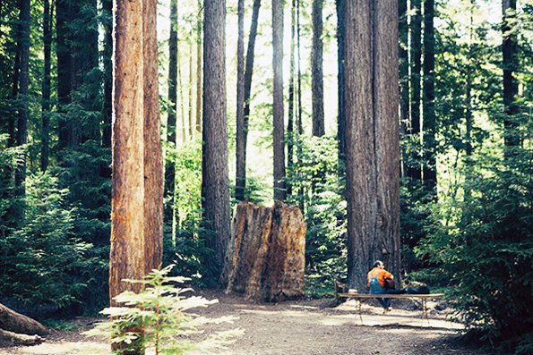 Camp-Grounded-2