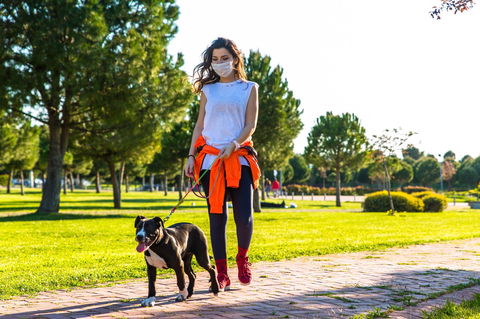 Woman walking her dog in a park with her mask on.