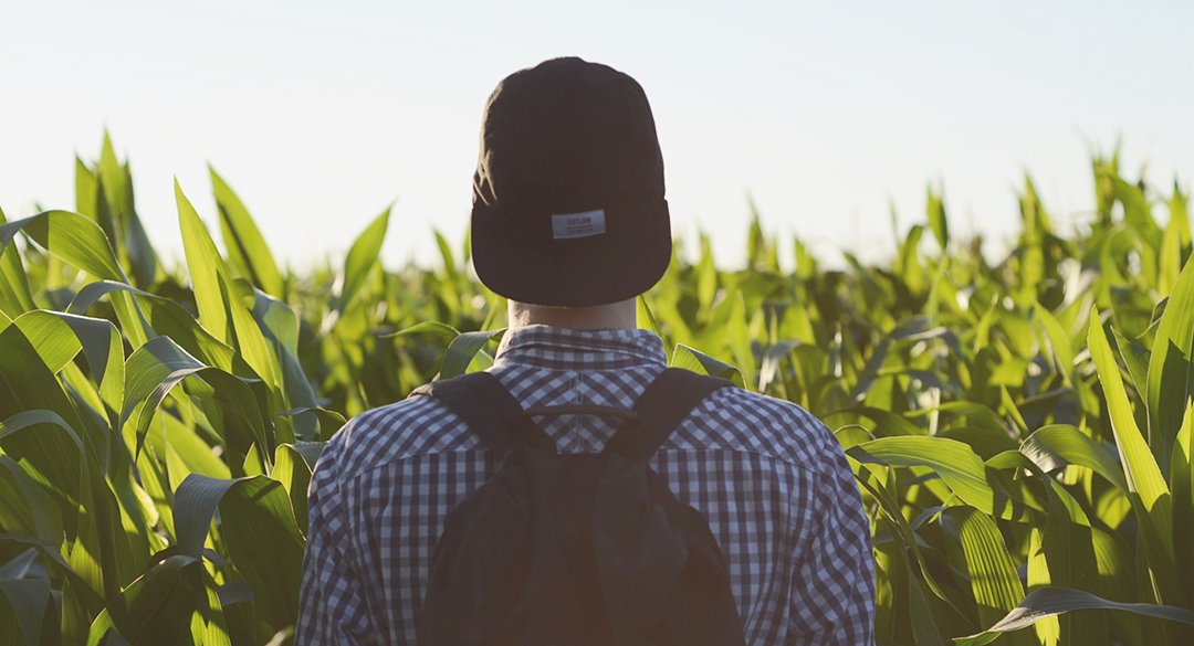 Man in Field