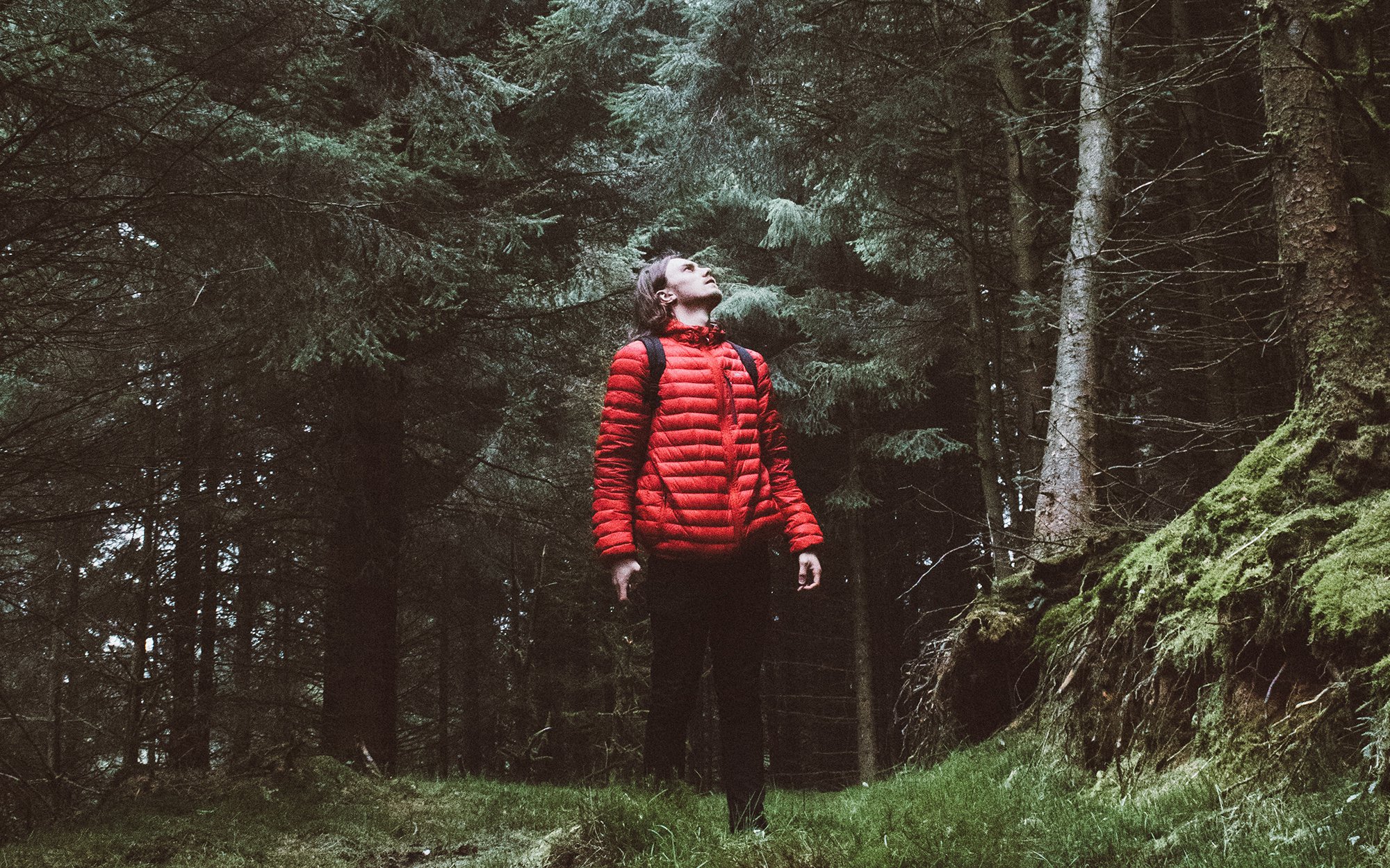 Man Standing in the forest.jpg