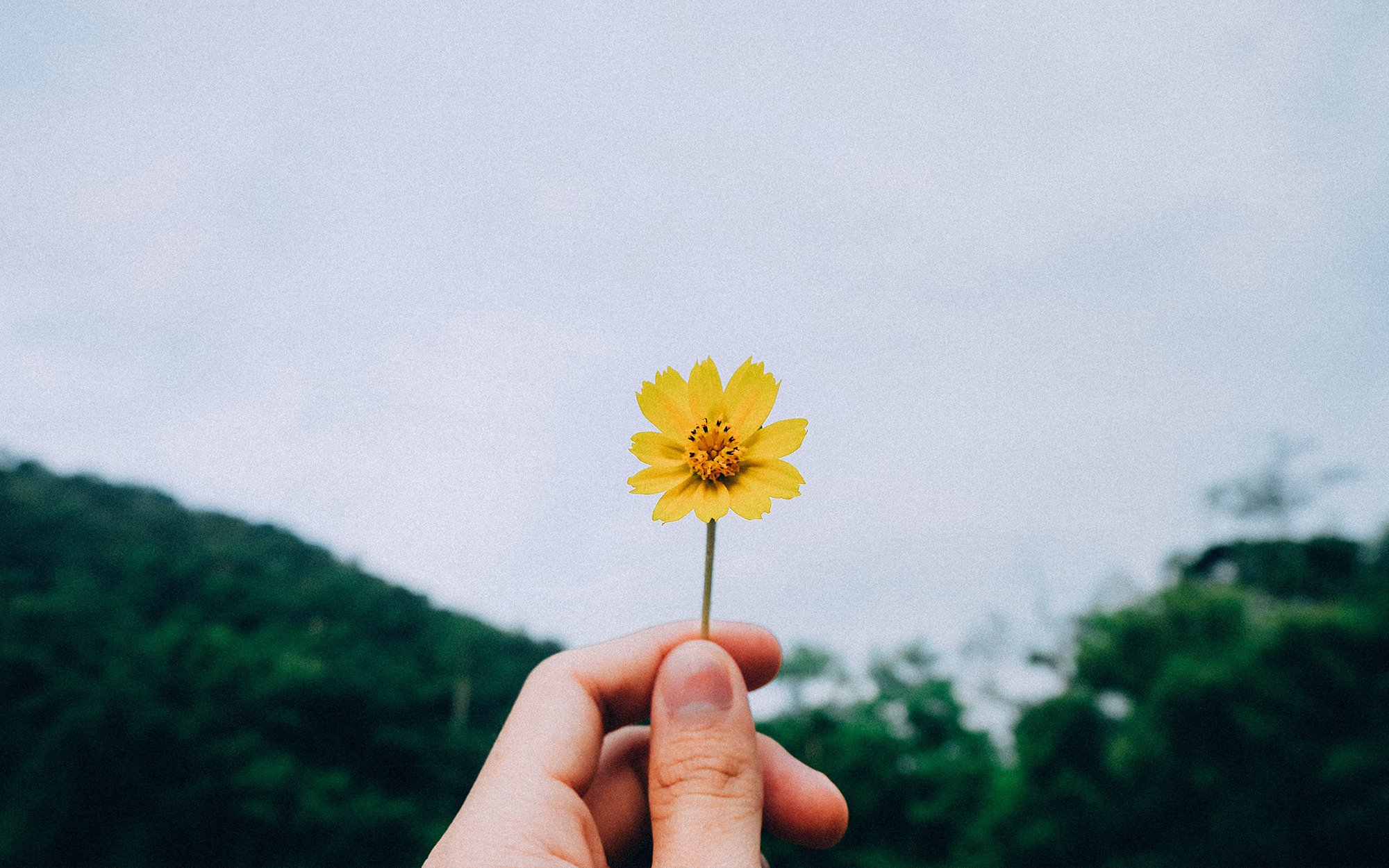 Man holding flower.jpg