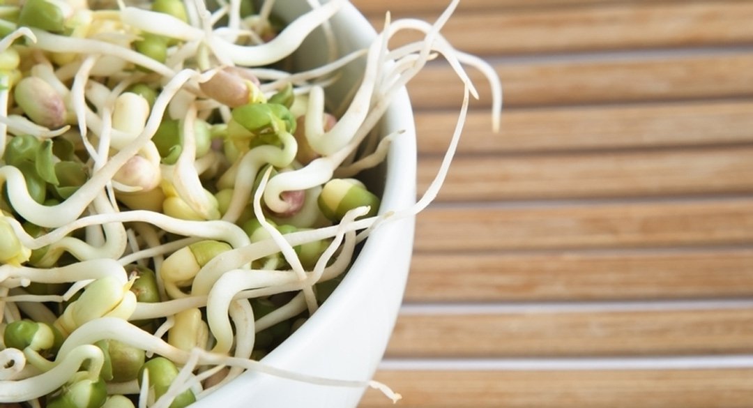 Bowl of sprouts