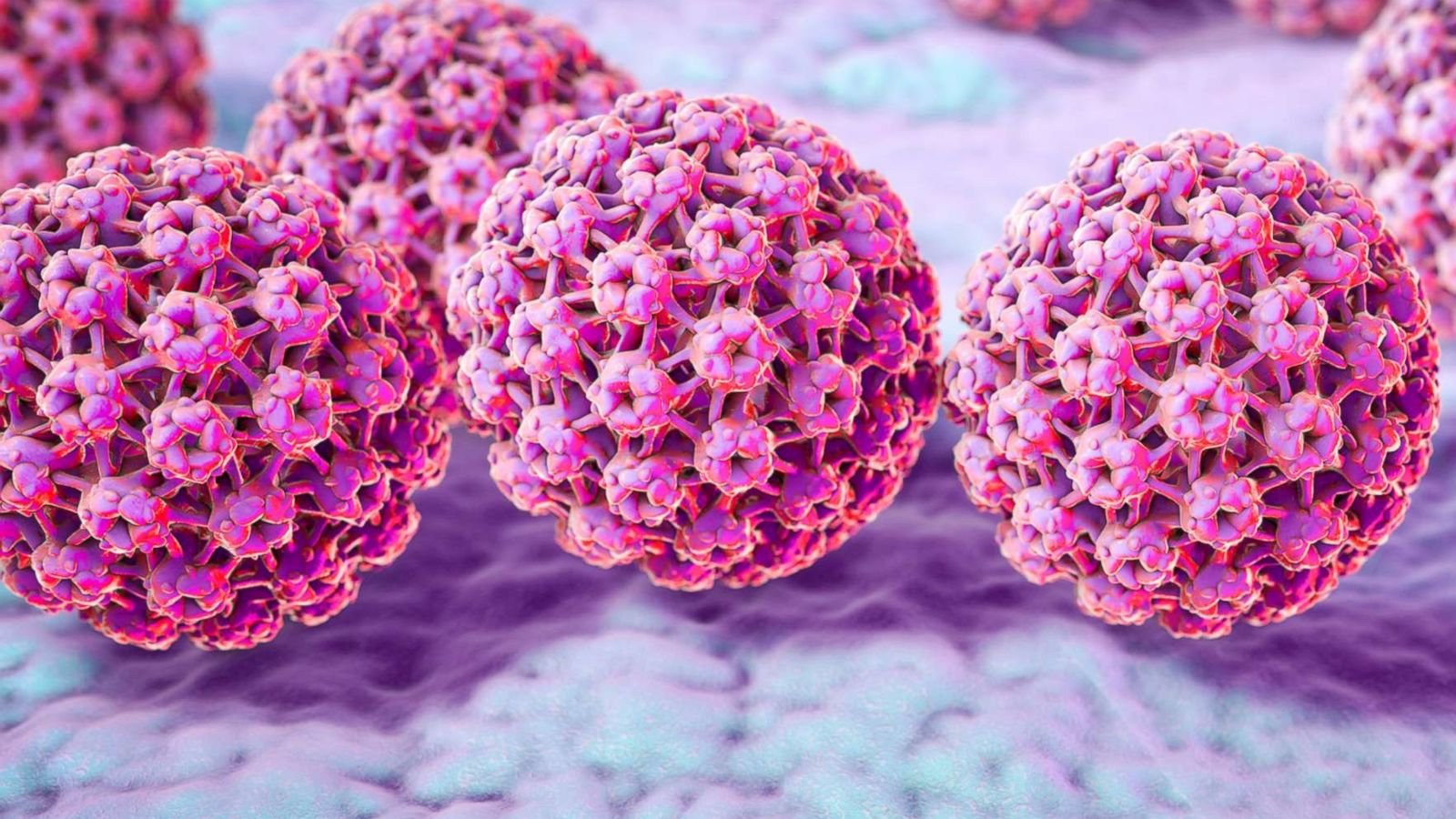 Microscopic view of HPV virus