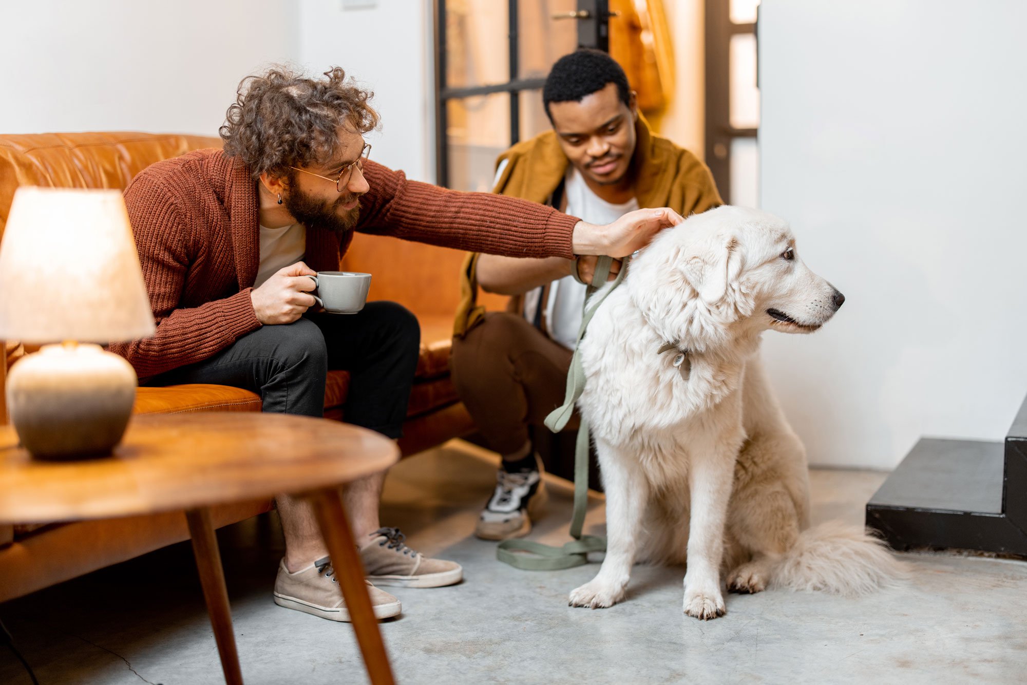 Two men sitting on a couch petting their dog