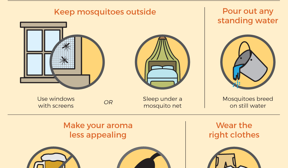 mosquito-graphic-header-3