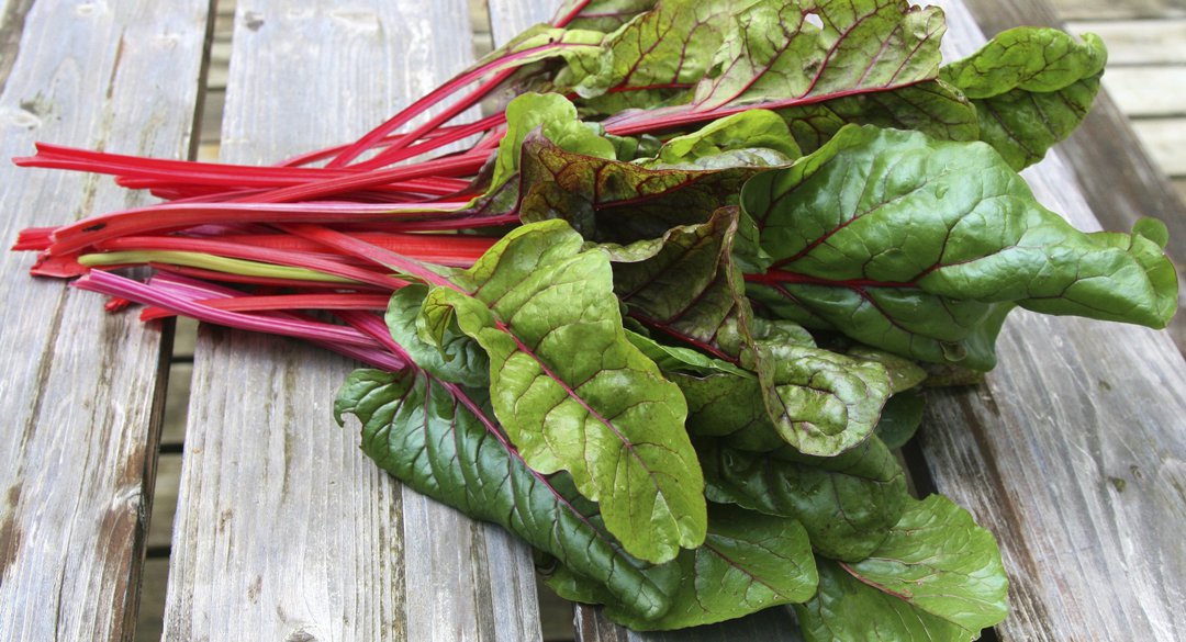 swiss chard